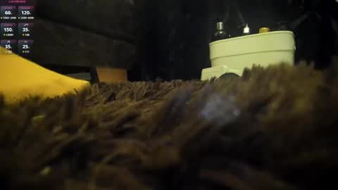 Shinigamidoll see you soon   online show from 03/07/25, 02:15