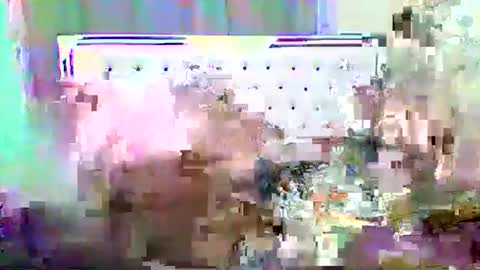 Shireline online show from 02/12/25, 11:30