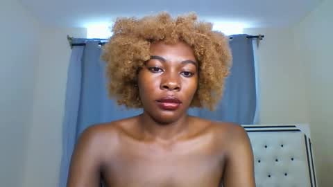 Shireline online show from 03/09/25, 08:29