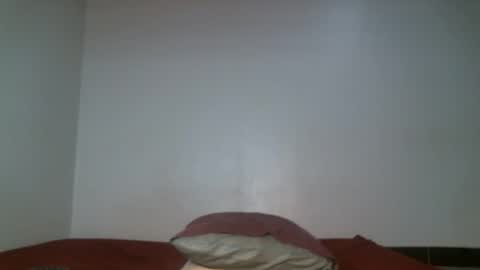 Snapshot of shiro254 chatting on 05/11/26, 11:49 Shi-ro online show from 05/11/26, 11:49