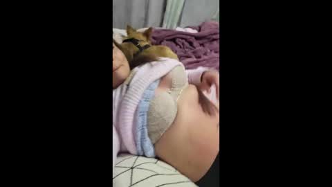 shmooinaround online show from 12/15/25, 12:09