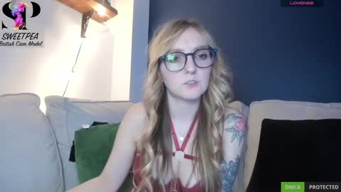 short sweetpea online show from 12/16/24, 06:38