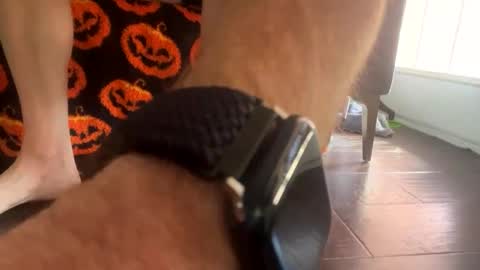 shortshortsman online show from 10/08/25, 05:10