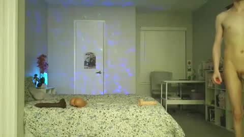 shotaroo online show from 11/22/25, 09:52