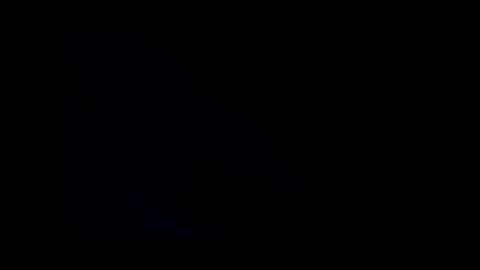 shrewtamer online show from 03/11/25, 01:56