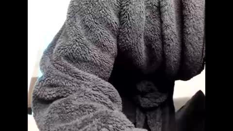 Sheril  online show from 03/06/26, 06:48