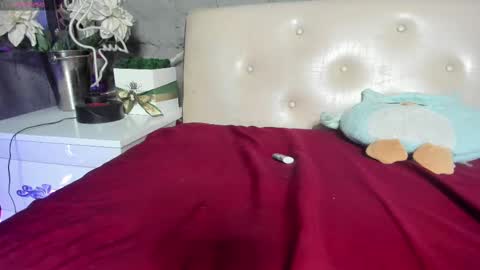 shygurl18hot online show from 02/25/25, 10:04