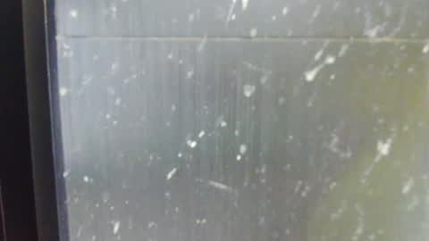 shygurl18hot online show from 10/13/25, 07:08