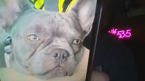 RBXs Princess online show from 02/27/26, 02:55