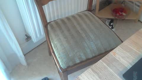 Snapshot of sibblii0 chatting on 03/04/25, 11:19 Seba online show from 03/04/25, 11:19