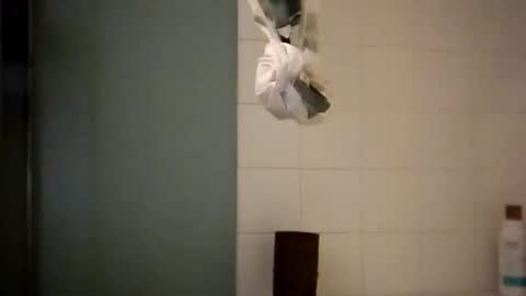 sigmaelixer online show from 10/18/25, 08:37