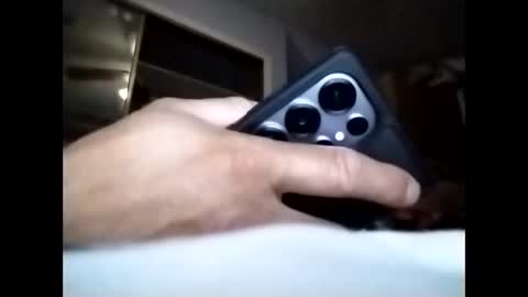 sil15nissan online show from 03/25/26, 07:14