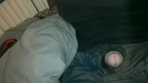 silentstiffler online show from 11/30/25, 04:27