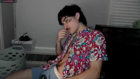 Snapshot of silly_cybin chatting on 01/12/25, 12:55 cybin online show from 01/12/25, 12:55