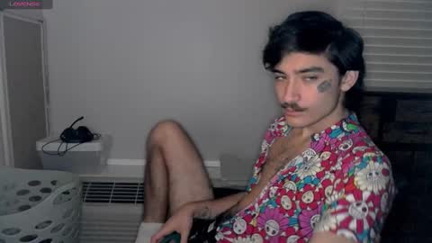 Snapshot of silly_cybin chatting on 01/13/25, 01:17 cybin online show from 01/13/25, 01:17