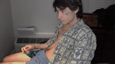 Snapshot of silly_cybin chatting on 01/31/25, 12:07 cybin online show from 01/31/25, 12:07