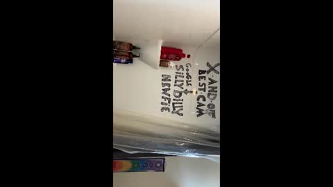 Silly Dilly Newfie online show from 06/22/26, 04:26