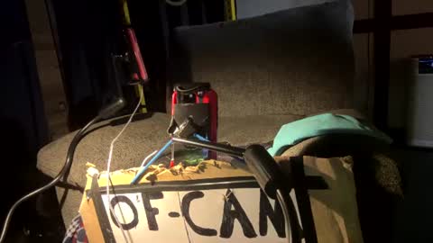 Silly Dilly Newfie online show from 07/21/26, 03:09