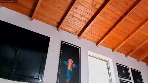 silvabranko online show from 07/06/26, 04:09