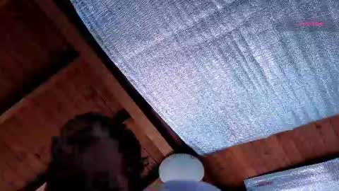 silvabranko online show from 07/13/26, 03:04