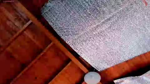 silvabranko online show from 07/19/26, 03:05