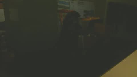 Snapshot of silvin76 chatting on 01/06/25, 05:08 silvin76 online show from 01/06/25, 05:08