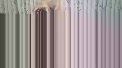 simontupin1973 online show from 12/17/25, 01:33