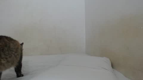 sirajones online show from 02/25/25, 12:47