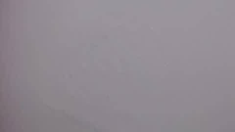Snapshot of sirena_fuego chatting on 07/25/26, 04:37 Elyzabeth online show from 07/25/26, 04:37