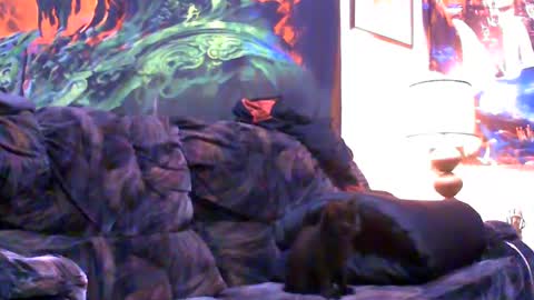 Jimmy B online show from 01/04/25, 05:05