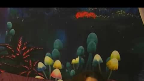 sk_bert online show from 12/01/25, 03:55