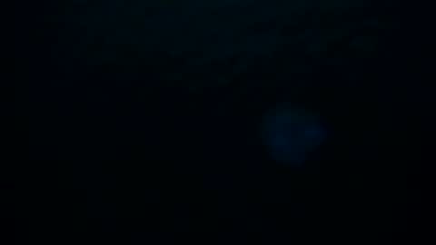 Skarlet online show from 10/08/25, 02:20