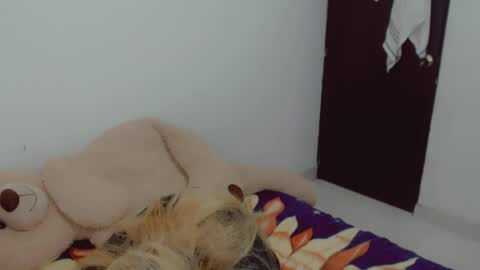 Arlett online show from 04/20/26, 06:16