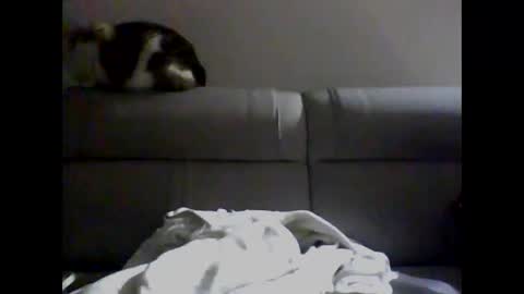 miguel online show from 12/02/24, 04:09