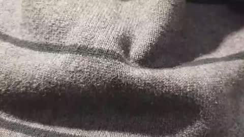 skeetzmgee online show from 11/12/25, 05:57