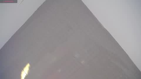 David online show from 02/22/26, 02:26