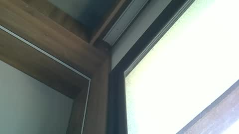 skinnykittencam online show from 10/05/25, 03:10