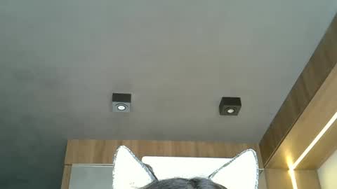 skinnykittencam online show from 10/20/25, 05:13