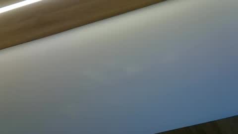 skinnykittencam online show from 10/29/25, 08:54