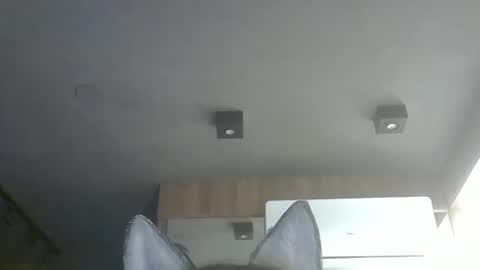 skinnykittencam online show from 11/24/25, 01:11