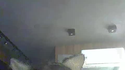 skinnykittencam online show from 12/01/25, 10:31
