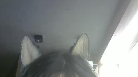 skinnykittencam online show from 02/26/26, 10:25