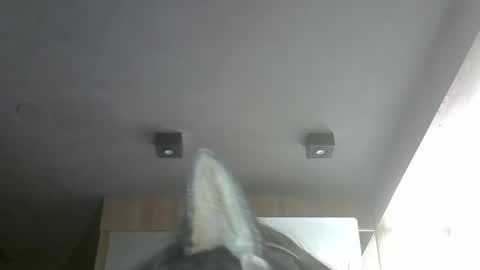 skinnykittencam online show from 03/22/26, 02:42