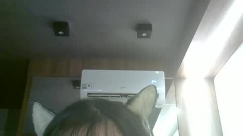 skinnykittencam online show from 04/11/26, 03:38