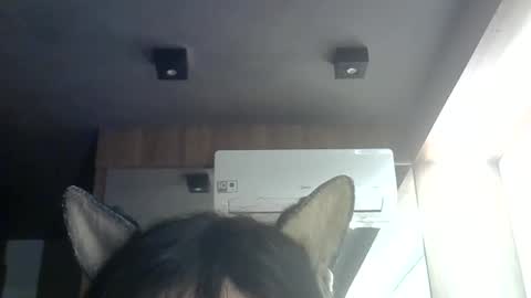 Snapshot of skinnykittencam chatting on 06/09/26, 09:32 skinnykittencam online show from 06/09/26, 09:32