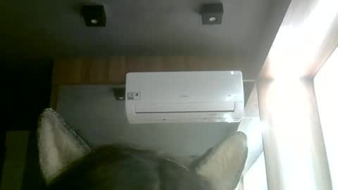 Snapshot of skinnykittencam chatting on 06/14/26, 02:24 skinnykittencam online show from 06/14/26, 02:24