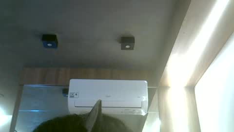 Snapshot of skinnykittencam chatting on 06/19/26, 12:20 skinnykittencam online show from 06/19/26, 12:20