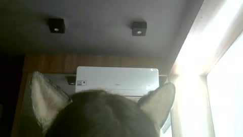 Snapshot of skinnykittencam chatting on 06/22/26, 03:25 skinnykittencam online show from 06/22/26, 03:25
