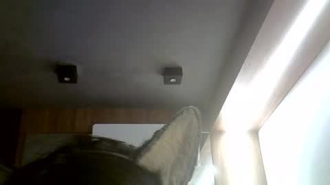 Snapshot of skinnykittencam chatting on 07/04/26, 06:25 skinnykittencam online show from 07/04/26, 06:25
