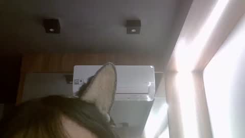 Snapshot of skinnykittencam chatting on 07/17/26, 11:50 skinnykittencam online show from 07/17/26, 11:50